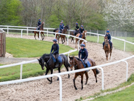 BP140425-20 - Ben Pauling Stable Visit